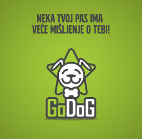 GoDoG HOME - edukacija vlasnika psa